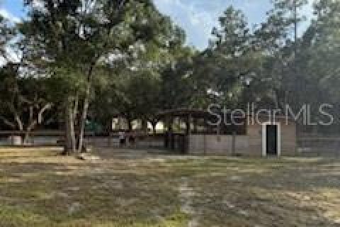Land in Dunnellon, Florida № 1907506 - photo 5