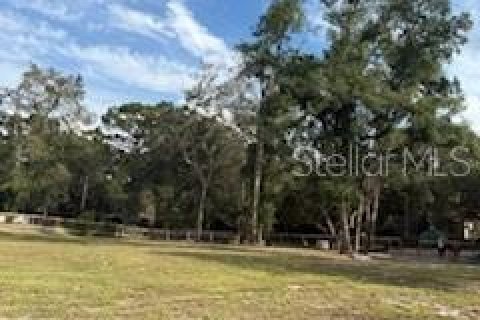 Land in Dunnellon, Florida № 1907506 - photo 6