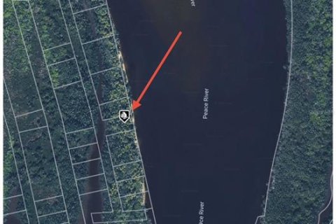Land in Punta Gorda, Florida № 2161821 - photo 4