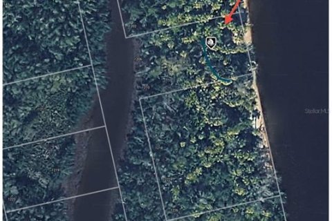 Land in Punta Gorda, Florida № 2161821 - photo 5