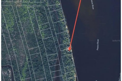 Land in Punta Gorda, Florida № 2161821 - photo 3