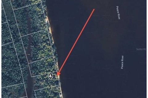 Land in Punta Gorda, Florida № 2161821 - photo 7