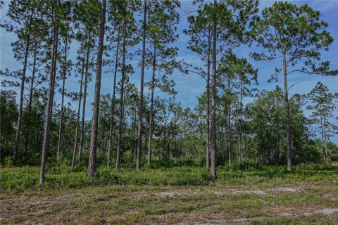 Terrain à vendre à Fort MC Coy, Floride № 1651182 - photo 28
