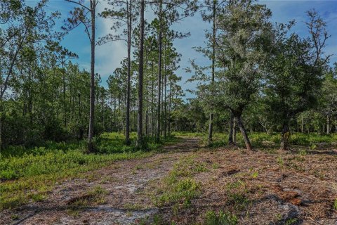 Terrain à vendre à Fort MC Coy, Floride № 1651182 - photo 29