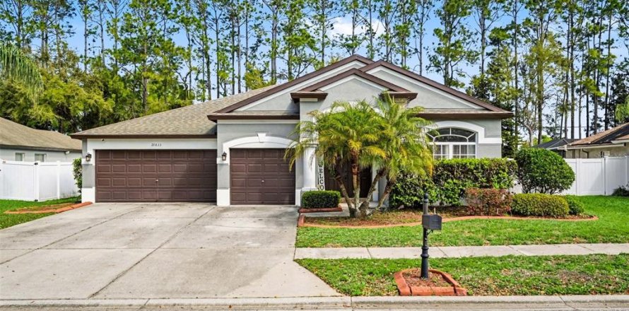 House in Land O' Lakes, Florida 4 bedrooms, 235.41 sq.m. № 2155932