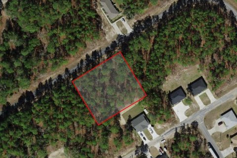 Land in Citrus Springs, Florida № 1906470 - photo 2