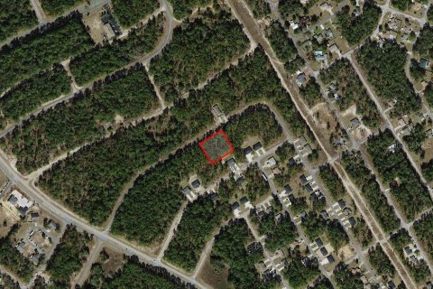 Land in Citrus Springs, Florida № 1906470 - photo 4