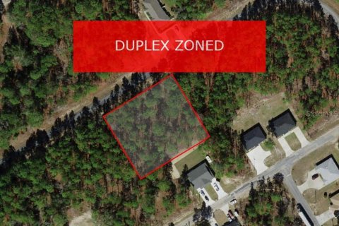 Land in Citrus Springs, Florida № 1906470 - photo 1