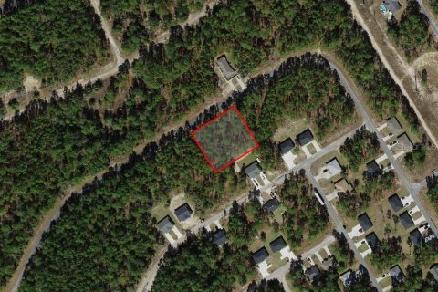 Land in Citrus Springs, Florida № 1906470 - photo 3