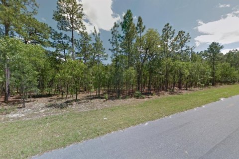 Land in Citrus Springs, Florida № 1906470 - photo 8