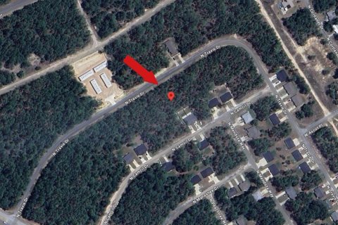 Land in Citrus Springs, Florida № 1906470 - photo 5
