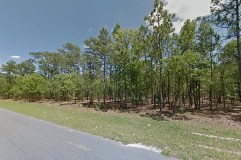 Land in Citrus Springs, Florida № 1906470 - photo 7