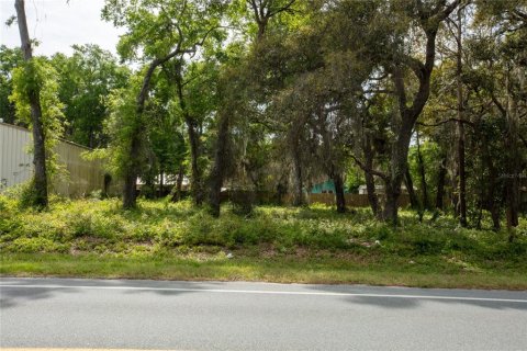 Купить коммерческую недвижимость в Мелроз, Флорида 338.16м2, № 1635127 - фото 10