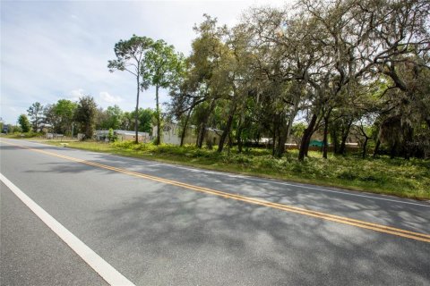 Купить коммерческую недвижимость в Мелроз, Флорида 338.16м2, № 1635127 - фото 18