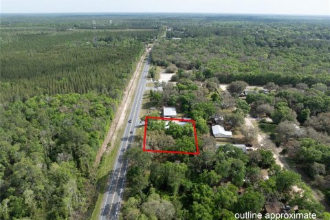 Купить коммерческую недвижимость в Мелроз, Флорида 338.16м2, № 1635127 - фото 6