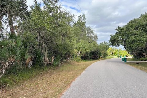 Terrain à Port Charlotte, Floride № 2103767