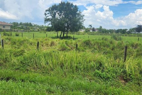 Land in Myakka City, Florida № 1858051 - photo 2