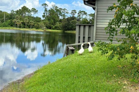 Condo in Ormond Beach, Florida, 2 bedrooms  № 1522397 - photo 4