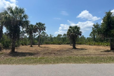 Land in Port Charlotte, Florida № 2161691