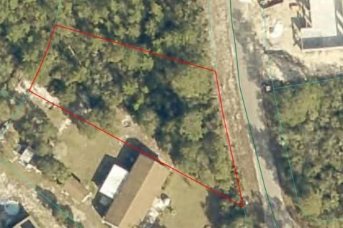 Terreno en Ocklawaha, Florida № 2230678