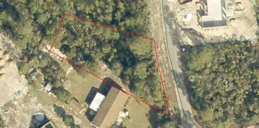 Land in Ocklawaha, Florida № 2230678