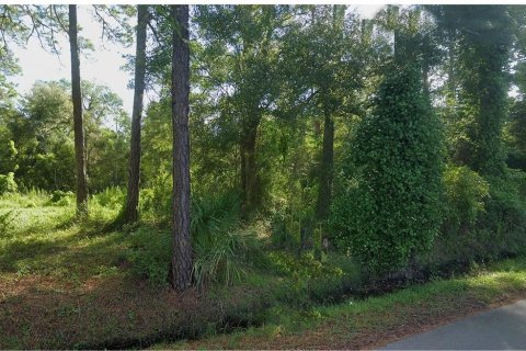 Land in Palatka, Florida № 1913381 - photo 1