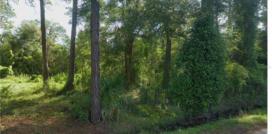 Terrain à Palatka, Floride № 1913381