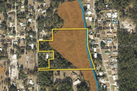 Land in Palatka, Florida № 1913381 - photo 6
