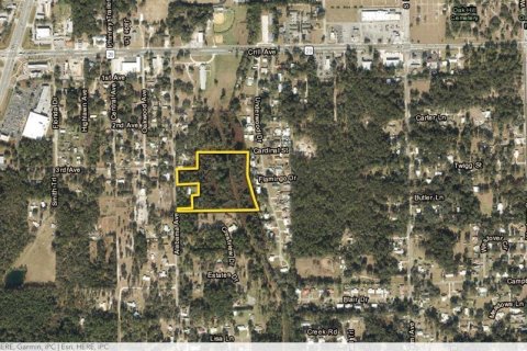 Land in Palatka, Florida № 1913381 - photo 2