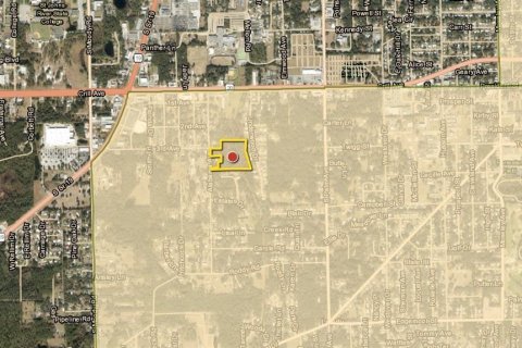 Land in Palatka, Florida № 1913381 - photo 3