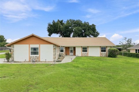 Villa ou maison à Thonotosassa, Floride 3 chambres, 191.38 m2 № 2361364