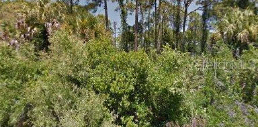 Terrain à Port Charlotte, Floride № 2160556