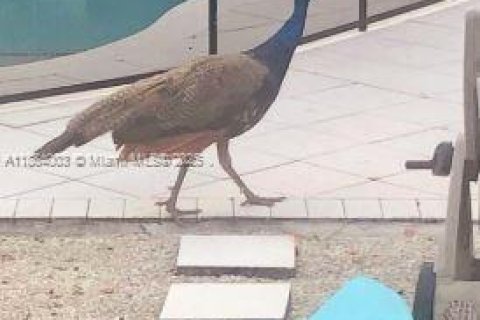 Casa en venta en Hollywood, Florida, 4 dormitorios, 152.17 m2 № 1991945 - foto 17