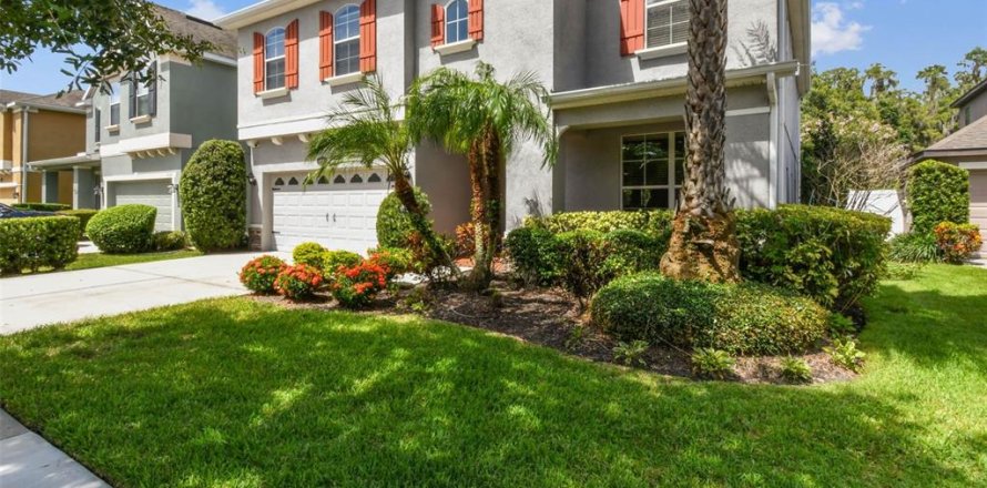 House in Tampa, Florida 5 bedrooms, 323.67 sq.m. № 1853432