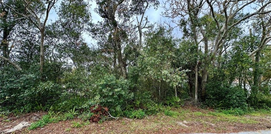 Terreno en Deltona, Florida № 1765127
