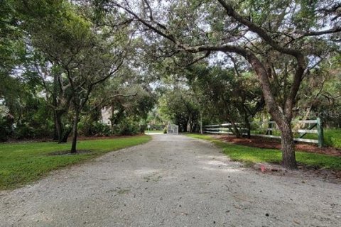 Villa ou maison à louer à Tarpon Springs, Floride: 4 chambres, 352.75 m2 № 1903397 - photo 4