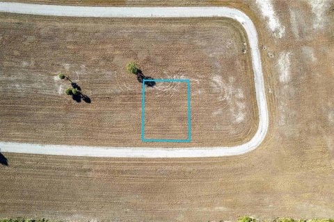 Land in Placida, Florida № 2228910 - photo 6