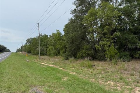 Land in Floral City, Florida № 2205551 - photo 3