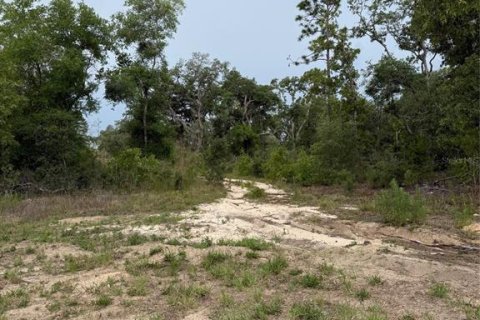 Land in Floral City, Florida № 2205551 - photo 4