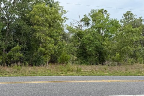 Land in Floral City, Florida № 2205551 - photo 5