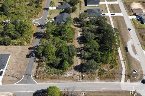 Купить земельный участок в Себринг, Флорида № 2004987 - фото 6