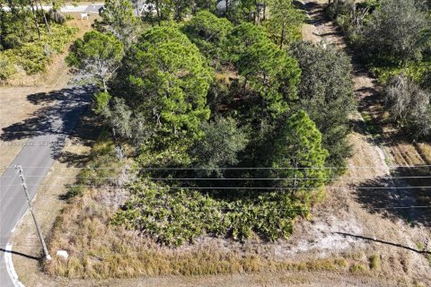 Купить земельный участок в Себринг, Флорида № 2004987 - фото 8