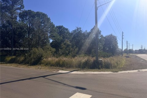 Купить земельный участок в Себринг, Флорида № 2004987 - фото 12