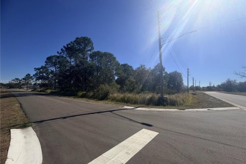 Купить земельный участок в Себринг, Флорида № 2004987 - фото 13