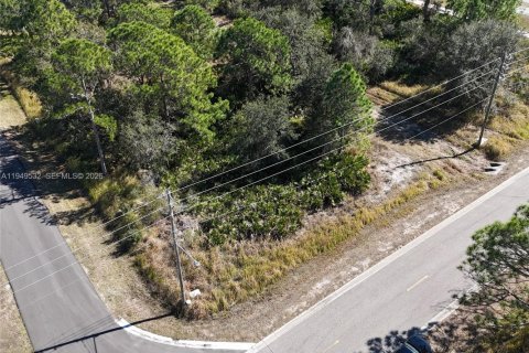 Купить земельный участок в Себринг, Флорида № 2004987 - фото 9