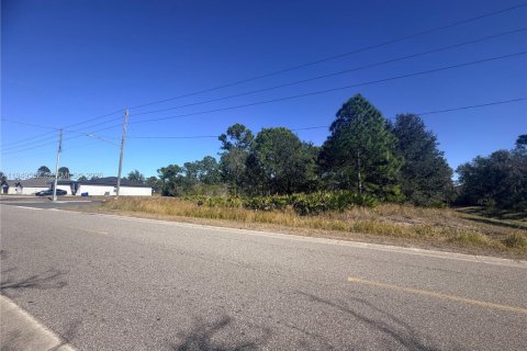Купить земельный участок в Себринг, Флорида № 2004987 - фото 10