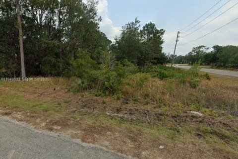 Купить земельный участок в Себринг, Флорида № 2004987 - фото 5