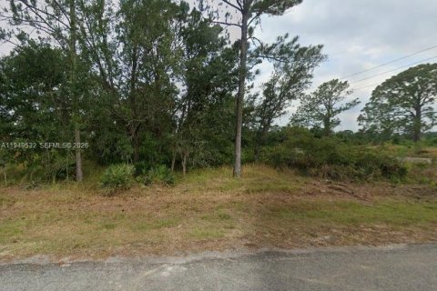 Terrain à Sebring, Floride № 2004987