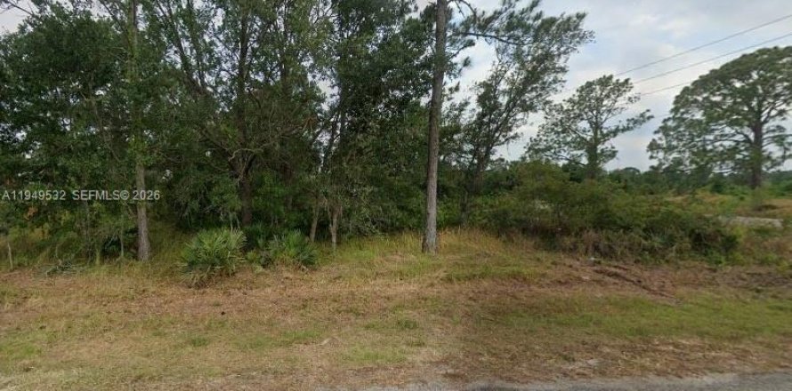 Terrain à Sebring, Floride № 2004987