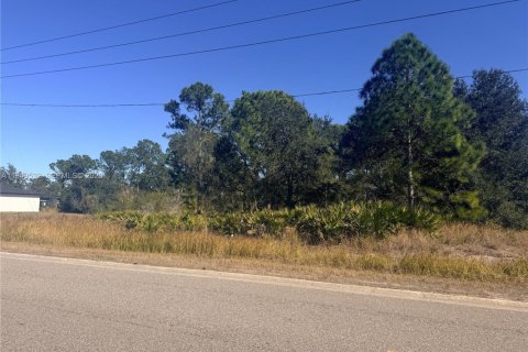 Купить земельный участок в Себринг, Флорида № 2004987 - фото 11